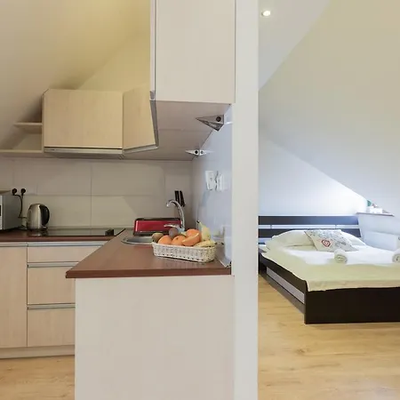 Apartment Apart-styl Zakopane- Brzozowa, Centrum Miasta